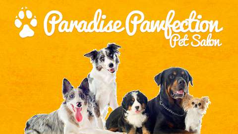 Paradise Pawfection Pet Salon